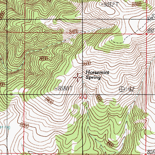 Topographic Map of Horsemint Spring, ID