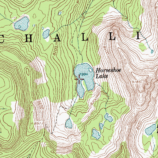 Topographic Map of Horseshoe Lake, ID