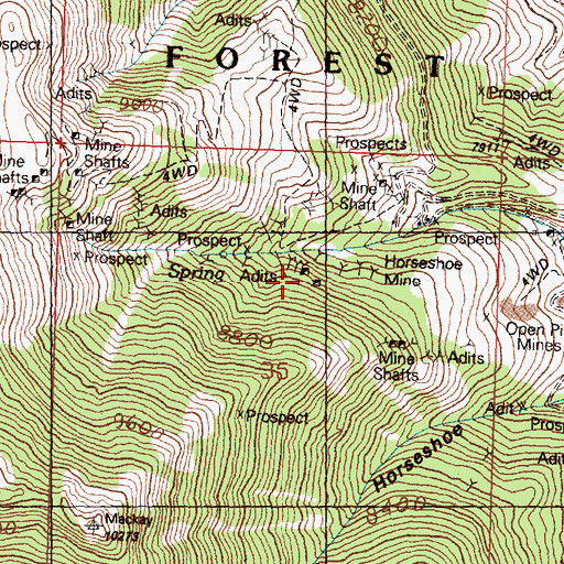 Topographic Map of Horseshoe Mine, ID