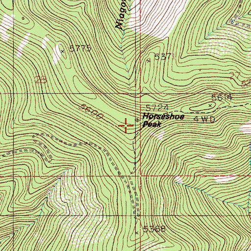 Topographic Map of Horseshoe Peak, ID
