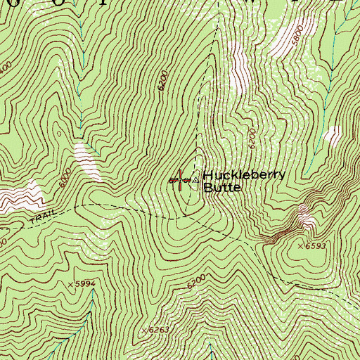 Topographic Map of Huckleberry Butte, ID
