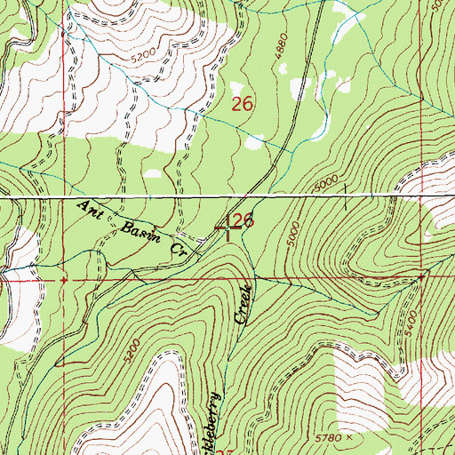 Topographic Map of Huckleberry Creek, ID