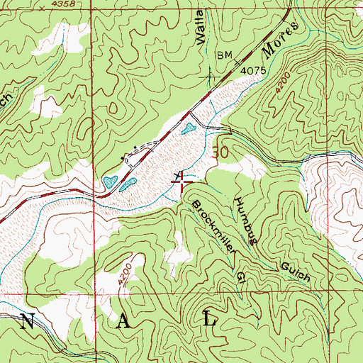 Topographic Map of Humbug Gulch, ID