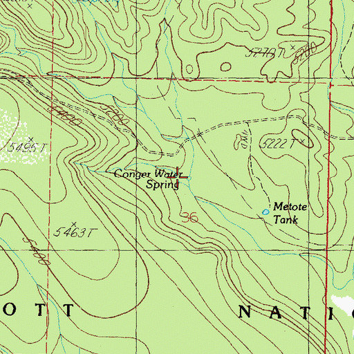Topographic Map of Conger Spring, AZ