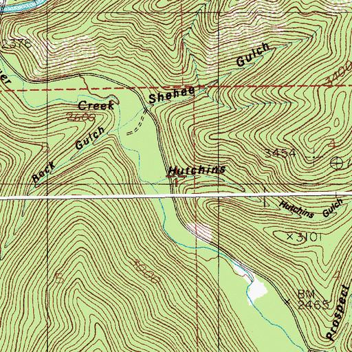 Topographic Map of Hutchins Gulch, ID