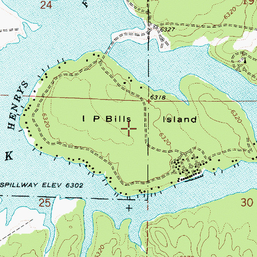 Topographic Map of I P Bills Island, ID