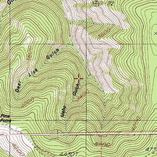 Topographic Map of Idaho Gulch, ID
