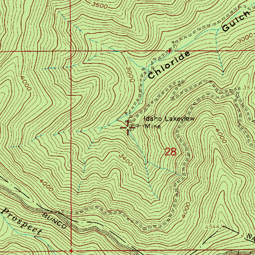Topographic Map of Idaho Lakeview Mine, ID