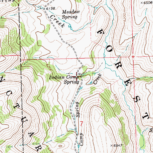 Topographic Map of Indian Camp Spring, ID