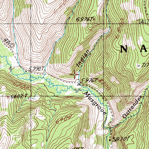 Topographic Map of Indian Gulch, ID