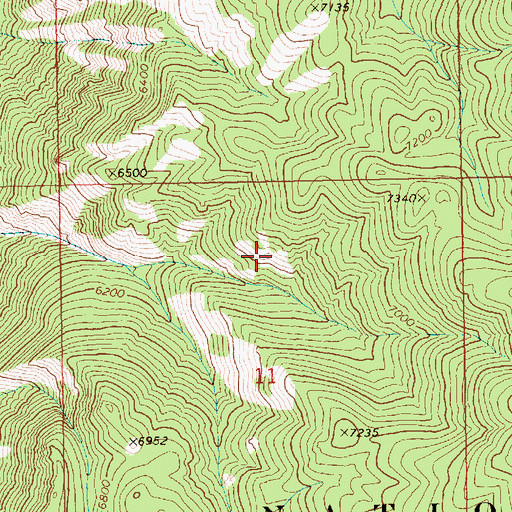 Topographic Map of Indian Peak, ID