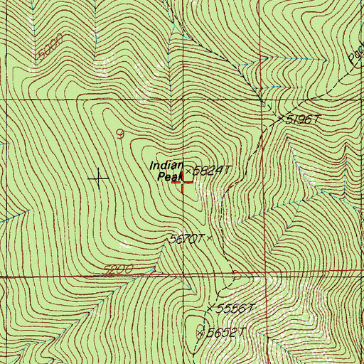 Topographic Map of Indian Peak, ID