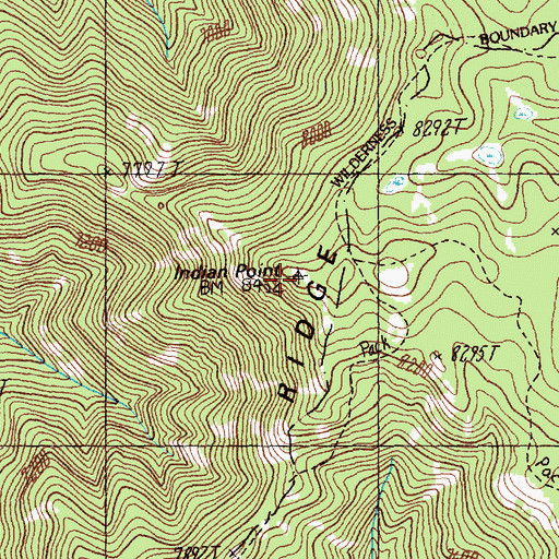 Topographic Map of Indian Point, ID