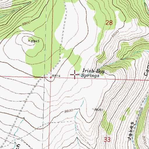 Topographic Map of Irish Boy Springs, ID