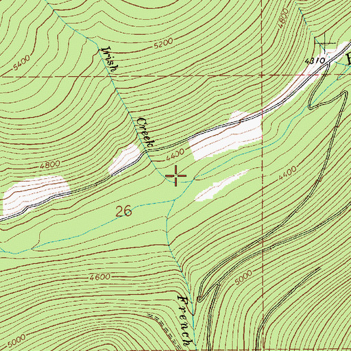 Topographic Map of Irish Creek, ID
