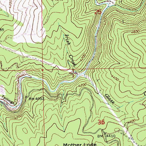Topographic Map of Irish Creek, ID