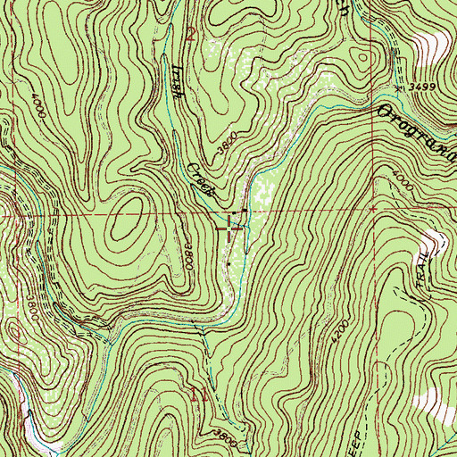 Topographic Map of Irish Creek, ID