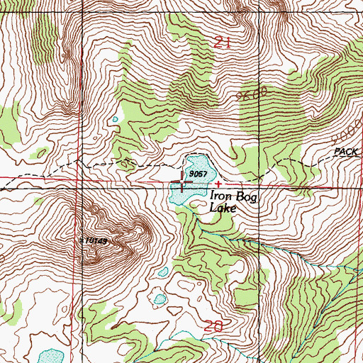 Topographic Map of Iron Bog Lake, ID