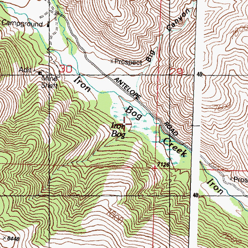Topographic Map of Iron Bog, ID