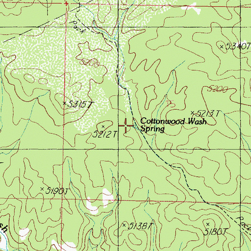 Topographic Map of Cottonwood Wash Spring, AZ