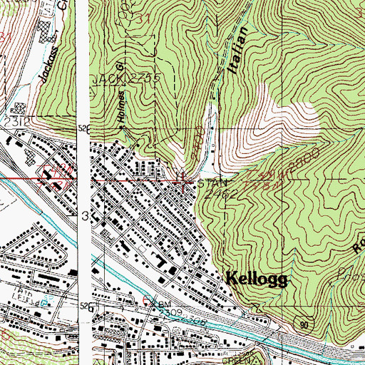 Topographic Map of Italian Gulch, ID