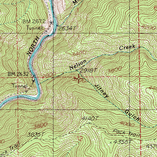 Topographic Map of Jitney Gulch, ID