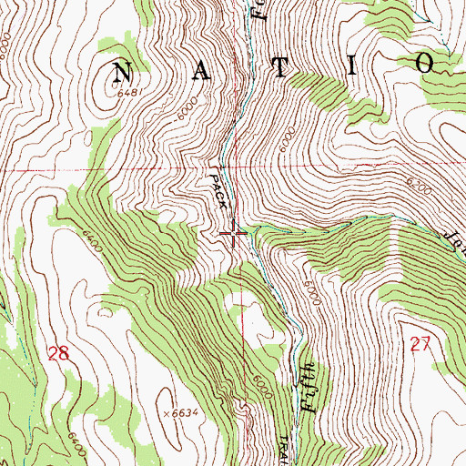 Topographic Map of Jones Fork Creek, ID