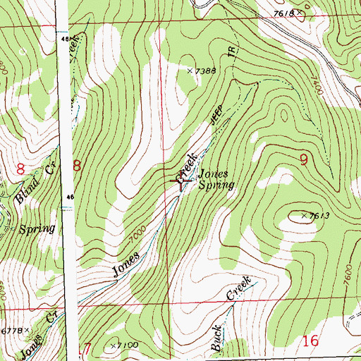 Topographic Map of Jones Spring, ID