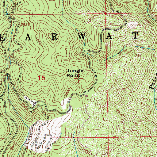 Topographic Map of Jungle Point, ID