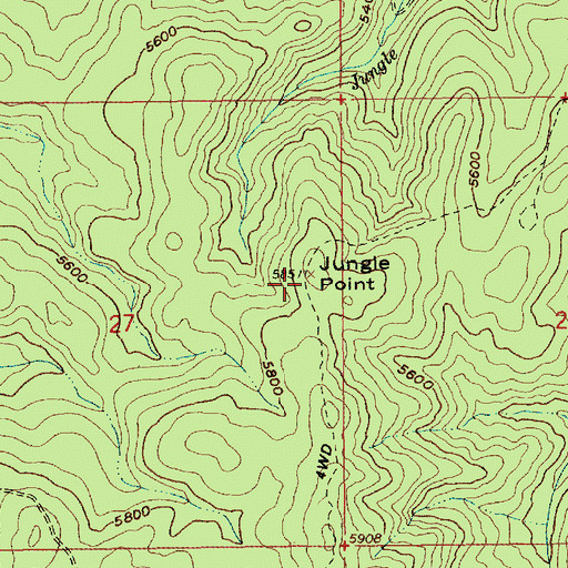 Topographic Map of Jungle Point, ID
