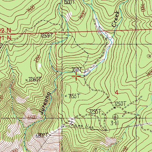 Topographic Map of Jureano Placer Diggings, ID
