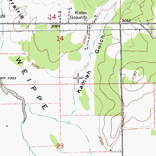 Topographic Map of Kamiah Gulch, ID