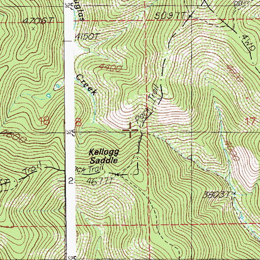 Topographic Map of Kellogg Saddle, ID