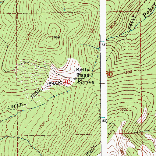 Topographic Map of Kelly Pass, ID