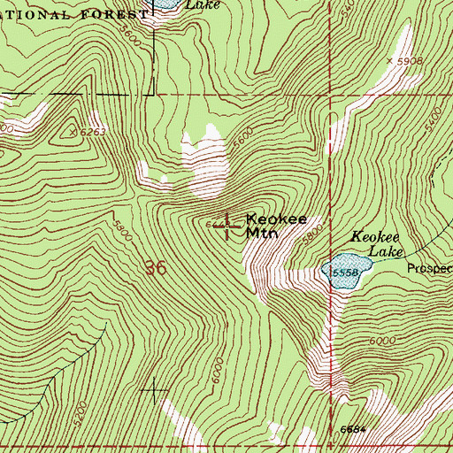 Topographic Map of Keokee Mountain, ID