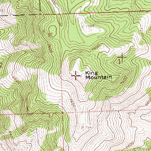 Topographic Map of King Mountain, ID