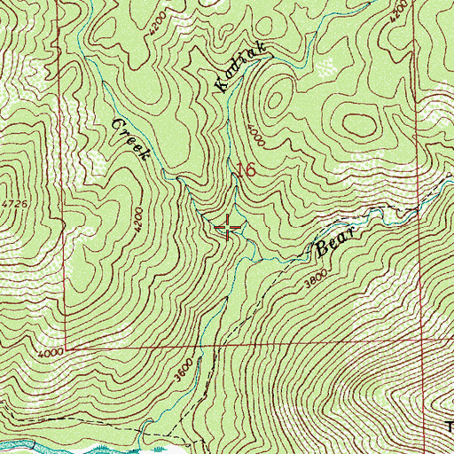 Topographic Map of Kodiak Creek, ID