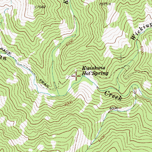 Topographic Map of Kwiskwis Hot Spring, ID