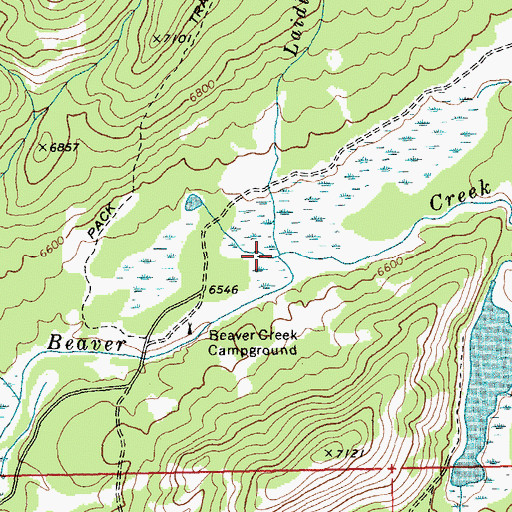 Topographic Map of Laidlow Creek, ID