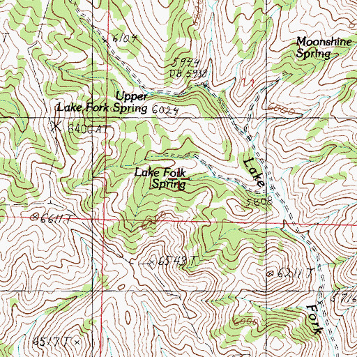 Topographic Map of Lake Fork Spring, ID