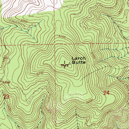 Topographic Map of Larch Butte, ID