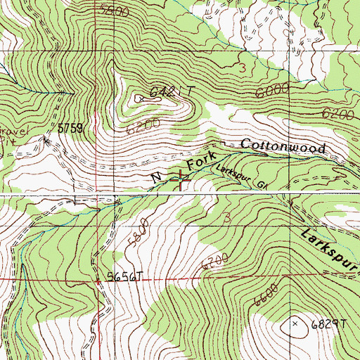 Topographic Map of Larkspur Gulch, ID