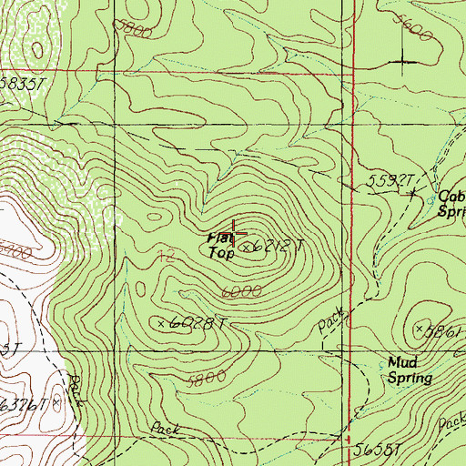 Topographic Map of Flat Top, AZ