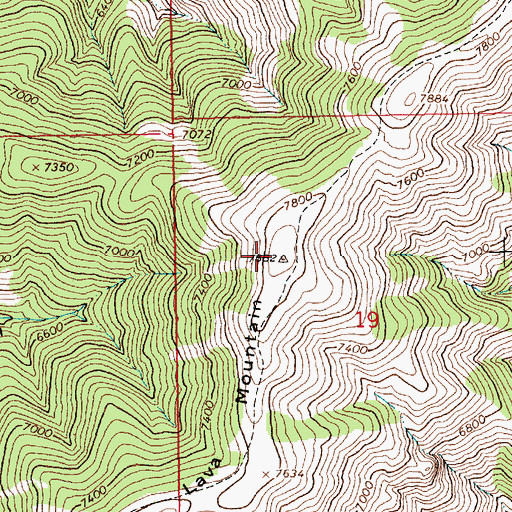 Topographic Map of Lava Mountain, ID