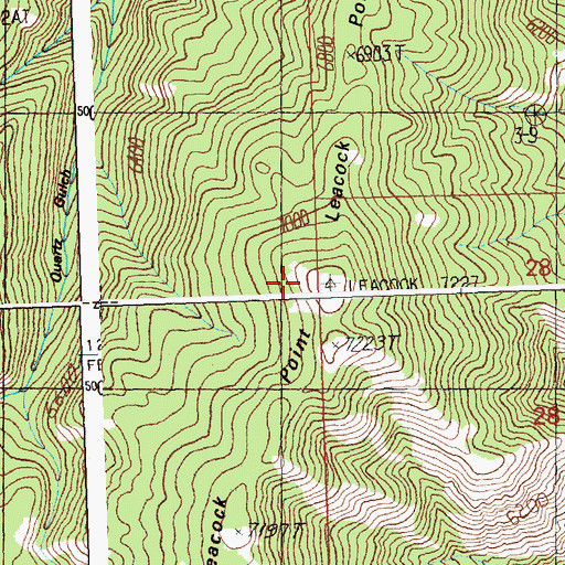 Topographic Map of Leacock Point, ID
