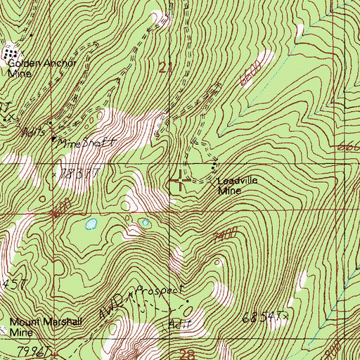 Topographic Map of Leadville Mine, ID