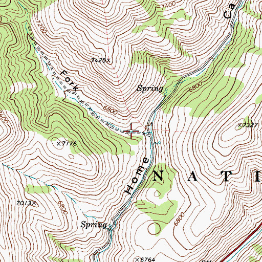 Topographic Map of Left Fork, ID