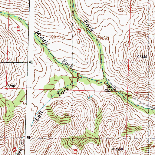 Topographic Map of Left Fork Bear Creek, ID