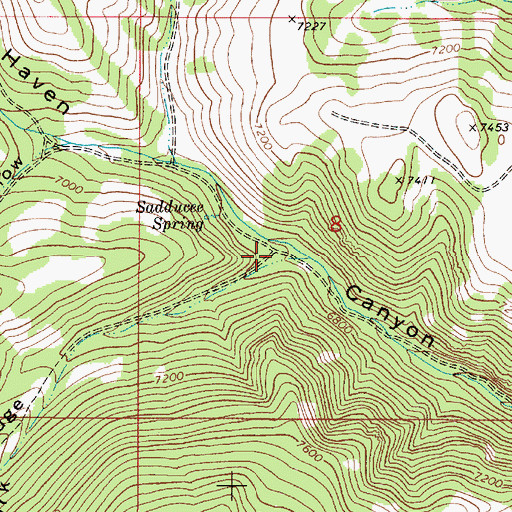 Topographic Map of Left Fork Fish Haven Canyon, ID