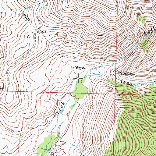 Topographic Map of Left Fork Peterson Creek, ID